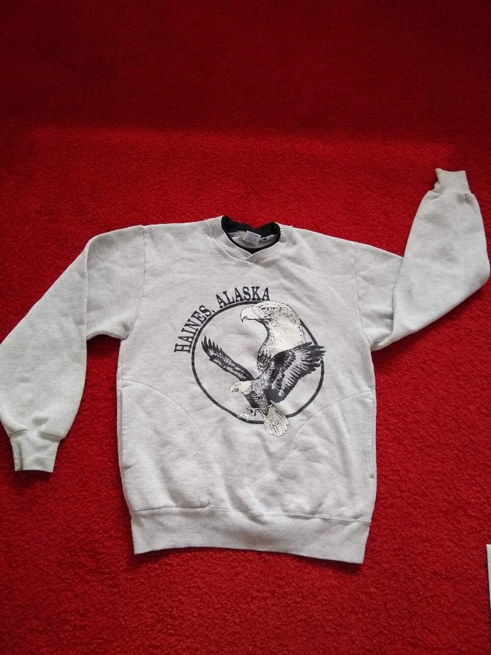 vintage 80s Haines Alaska sweatshirt NWOT